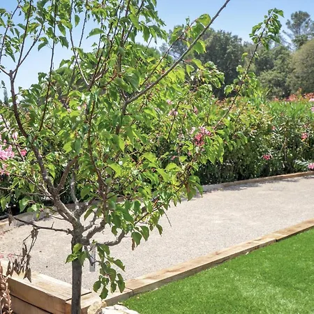 Gorgeous In Raphael Saint-Raphaël